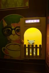 -疯狂冒险家-亲子密室-东坝店(金隅嘉品店)