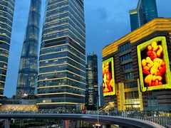 -陆家嘴空中步行连廊