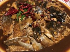 -邵年鸽(杨庄店)