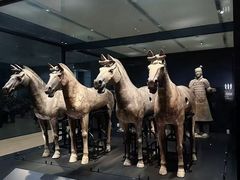 -秦始皇帝陵博物院-丽山园