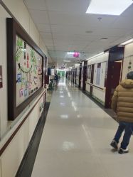 -复旦大学附属妇产科医院(杨浦院区)