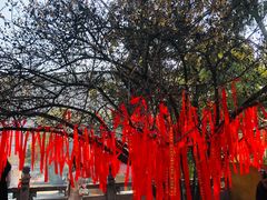-宝通禅寺