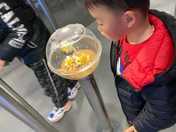 -七巧国萌宠乐园(龙湖天街店)