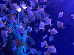 -沈阳海洋探索中心