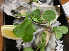 -12 Rocks Beach Bar Cafe