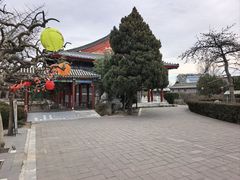 -有喜胶东小馆(太申祥和店)