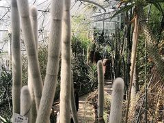-北京植物园-展览温室