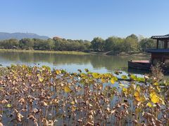 -湘湖大院(越王路店)