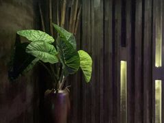 -观唐足道SPA养生会馆(南湖店)