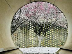 -武汉园博园(武汉自然博物馆)