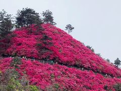 -木兰云雾山