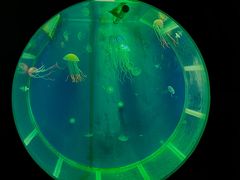 -顺德南宏海立方海洋公园