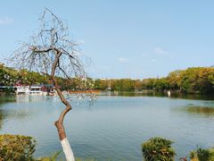-雨湖公园