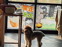 -东园小馆(香颂店)