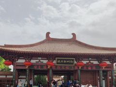 -神州牡丹园