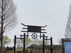 -合肥滨湖国家森林公园