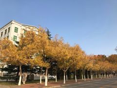-哈尔滨工业大学(威海校区)