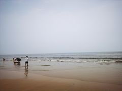 -日照海滨国家森林公园