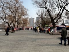 -北山公园