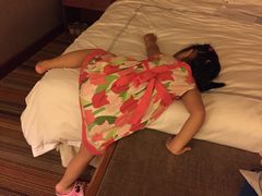 -新加坡瑞士史丹福酒店