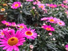 -闽江夜游台江旅游码头