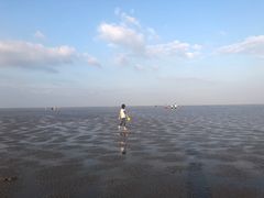 -南汇嘴观海公园