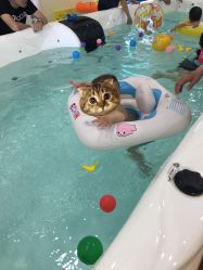 -爱乐婴童水育早教中心·儿童游泳中心(田园商业广场店)