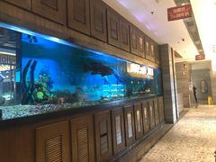 -海鼎荟海鲜姿造(晋江宝龙店)