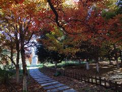 -长春世界雕塑园冰雪艺术天地