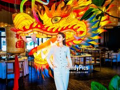 -禧宴Joyous Restaurant(禧园店)