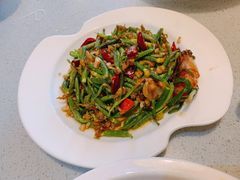 黄瓜苗-农家大院(纪王店)