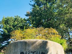 -三鹰之森吉卜力美术馆