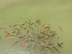 -黄崖洞文化旅游区
