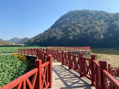 -广州市石门国家森林公园