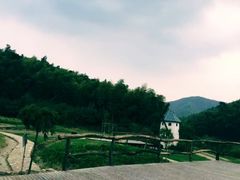 -宁波浙东大竹海景区