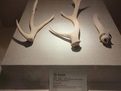 -南越王博物院(王宫展区)