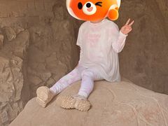 -上海佘山国家森林公园天马山园