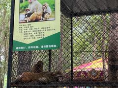 -长白岛森林公园