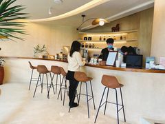 -白茶原·一片叶子