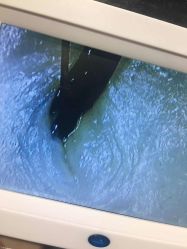 -东瀛造型