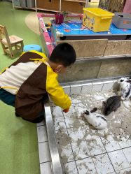 -萌宠家互动乐园