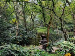 -句容茅山景区