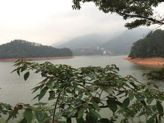 -广州市流溪河国家森林公园