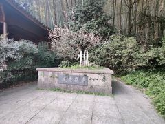-杭州植物园