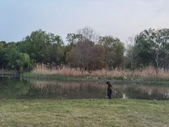 -长广溪湿地公园