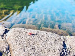 -龙湾潭国家森林公园
