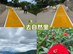 -八大处公园