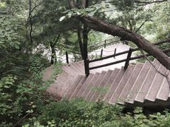-王顺山国家森林公园