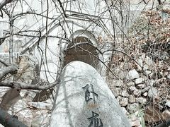 -石老人观光园
