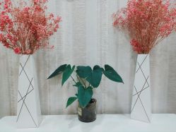 -Cocodemer女性健康·产后恢复(天一广场店)